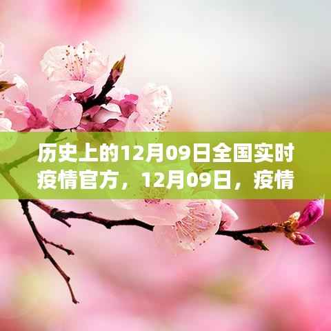 火伞高张 第4页