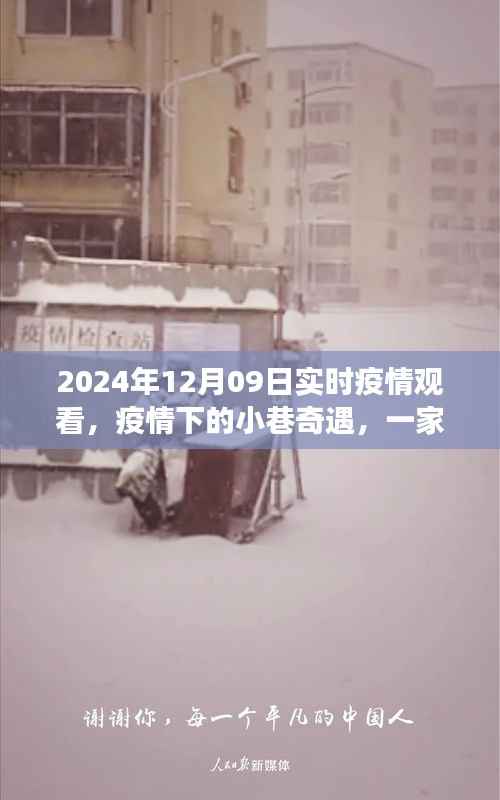 疫情下的小巷奇遇,特色小店的实时观察日记