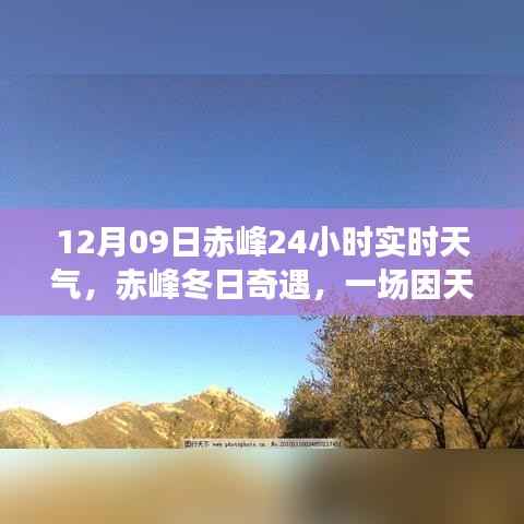 五角六张 第3页