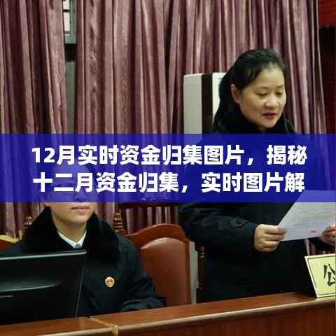 揭秘十二月资金实时归集，实时图片解读与洞察报告