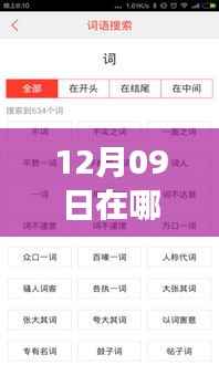 12月09日实时公交查询指南，轻松获取公交位置信息