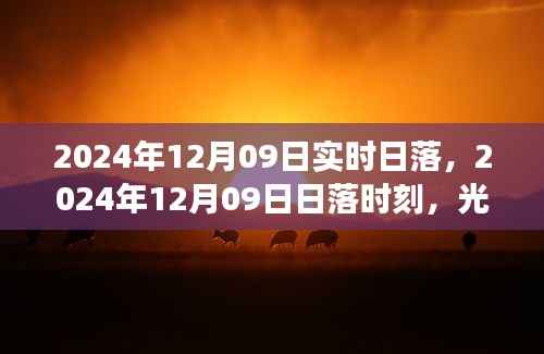 光影交织的壮丽瞬间，2024年12月09日日落时刻实拍日落美景