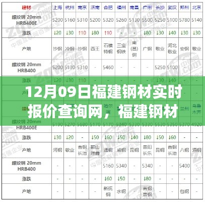 福建钢材报价背后的温情故事,友情与陪伴的温馨日常查询网