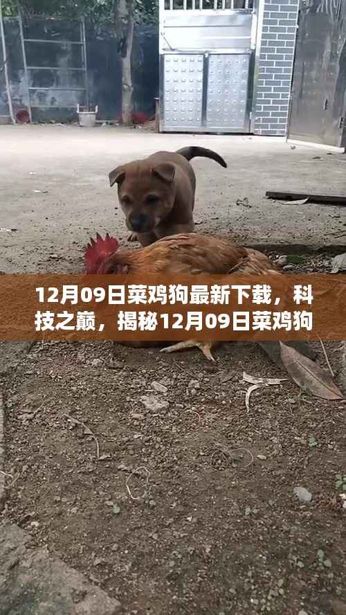 揭秘,最新菜鸡狗下载版,感受科技巅峰的力量!