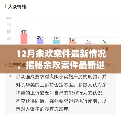 余欢案件最新进展揭秘，深度聚焦三大要点剖析