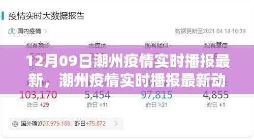潮州疫情最新实时播报，深度分析与用户指南（12月09日更新）