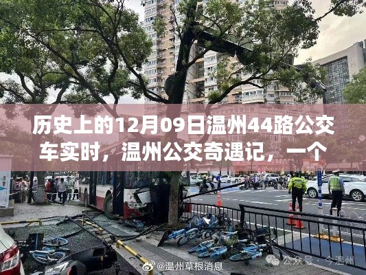温州公交奇遇记,友情与陪伴的温馨故事在12月09日的公交车上展开