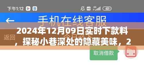 探秘小巷深处隐藏美味,独家体验2024年12月09日实时下款料美食之旅