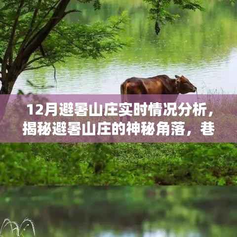 揭秘避暑山庄的神秘角落,深度探寻避暑胜地与巷弄美食之旅的实时情况分析