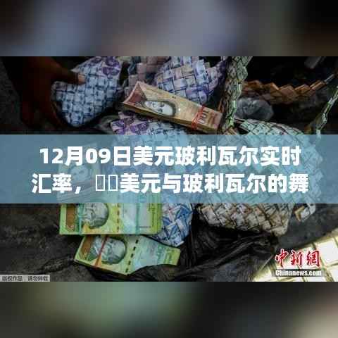 12月09日美元与玻利瓦尔汇率更新,绿色之旅寻求内心平静的时刻