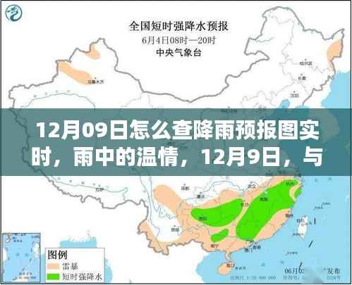 12月9日降雨预报实时查询,雨中温情与舞动的日子