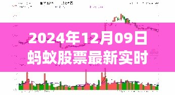 2024年12月09日蚂蚁股票实时行情解析及深度探讨