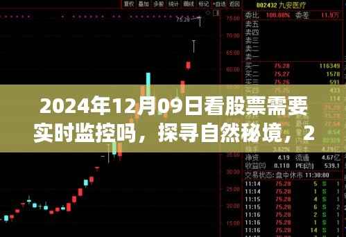 股票监控与心灵旅行的探索，探寻自然秘境与实时股市监控的双重挑战（2024年12月09日）