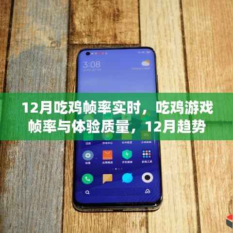 12月吃鸡游戏帧率实时探讨，帧率与体验质量的关系及趋势分析