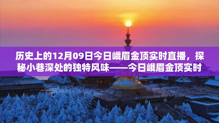 峨眉金顶实时直播，历史与现代的邂逅，探寻小巷深处的独特风味