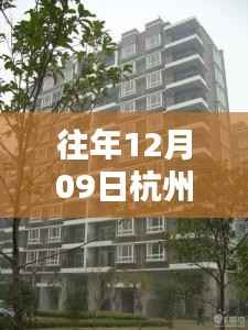 打马虎眼 第3页