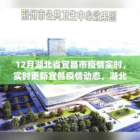 湖北省宜昌市疫情实时动态更新与防控进展报告