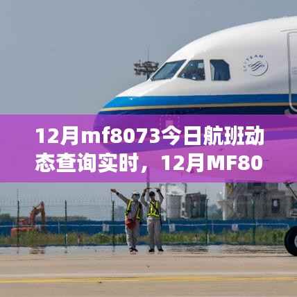 12月MF8073航班实时动态查询全攻略，从初识到精通
