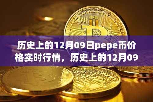 历史上的12月09日PEPE币价格实时行情深度解析,市场波动与个人立场透视