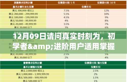 12月09日真实时刻,时间转换的详细步骤指南,适合初学者与进阶用户