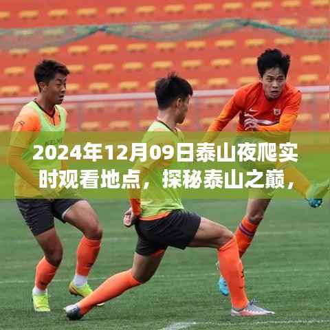 探秘泰山之巅,夜爬泰山奇妙之旅实时观看地点(XXXX年XX月XX日)