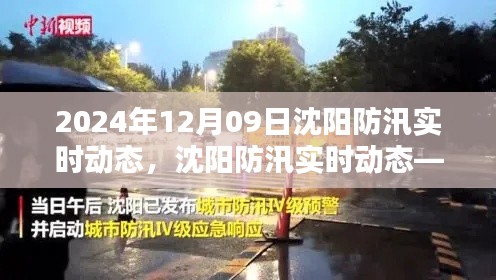 2024年12月09日沈阳防汛实时动态，城市防线的坚守与应对