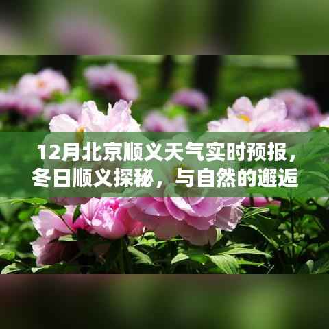 冬日顺义探秘，与自然的邂逅，实时天气预报下的内心暖阳之旅