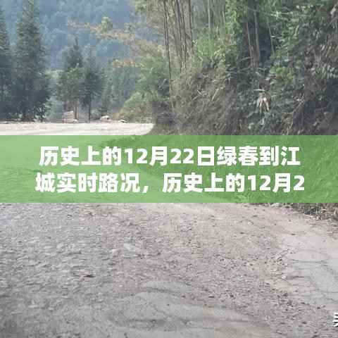 历史上的12月22日绿春至江城实时路况回顾与展望