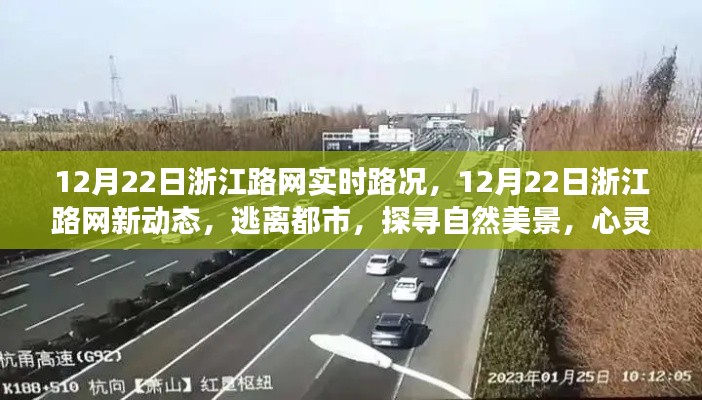 浙江路网实时路况更新,心灵之旅启程,探寻自然美景新动态
