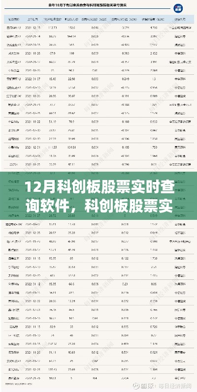 科创板股票实时查询软件使用指南,适合初学者与进阶用户的12月版查询工具