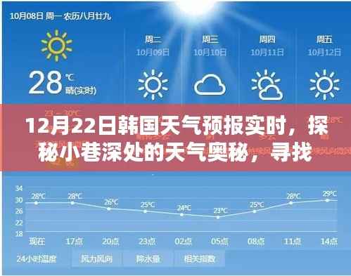 韩国冬日风情探秘，小巷深处的特色小店与天气预报实时体验之旅