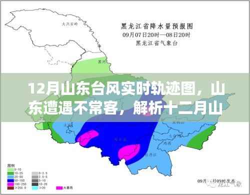 山东遭遇罕见台风，十二月实时轨迹图解析与争议热议