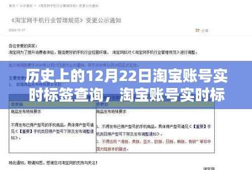 淘宝账号实时标签查询系统的历史沿革与影响回顾,12月22日回顾篇