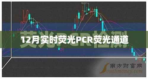 实时荧光PCR荧光通道技术解析