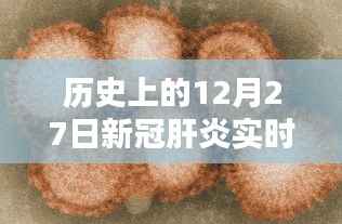 历史上的新冠肝炎实时动态,聚焦十二月二十七日进展