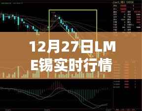 LME锡行情实时更新及分析