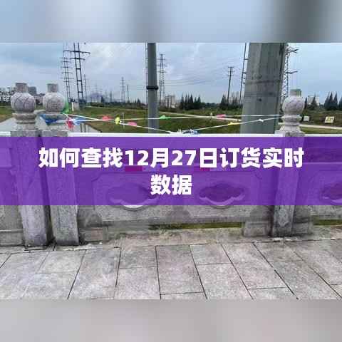 如何查询12月27日订单实时数据方法
