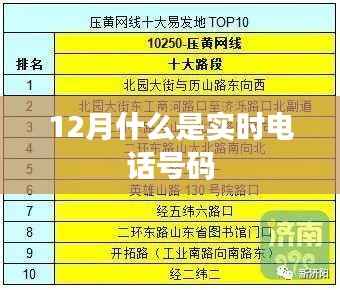 百尺无枝 第3页