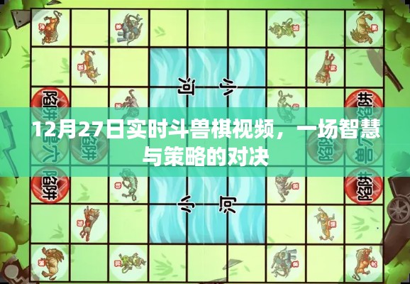 斗兽棋智慧对决,实时视频激战12月27日