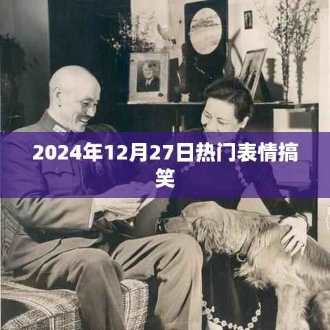每日一笑，2024年最火表情大赏