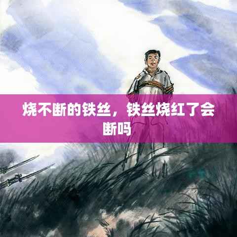 明夷于飞 第3页