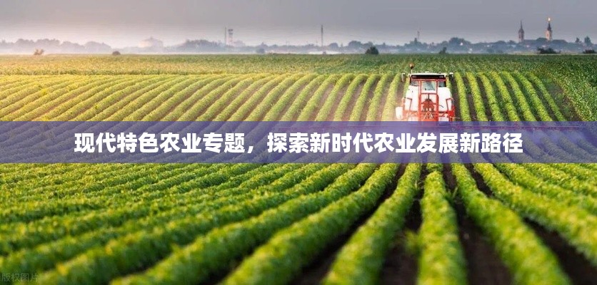 现代特色农业专题,探索新时代农业发展新路径