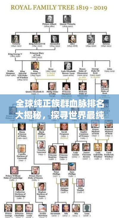 全球纯正族群血脉排名大揭秘,探寻世界最纯种人的奥秘