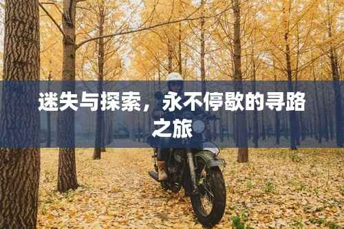 迷失与探索,永不停歇的寻路之旅