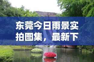 东莞今日雨景实拍图集，最新下雨瞬间一网打尽