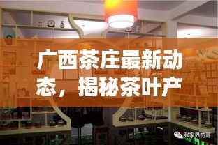 广西茶庄最新动态，揭秘茶叶产业繁荣背后的故事