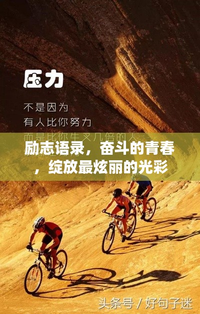 励志语录，奋斗的青春，绽放最炫丽的光彩