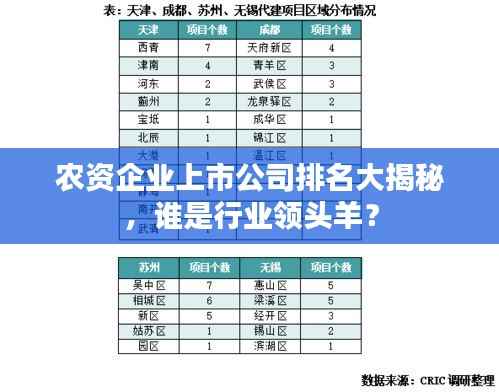 农资企业上市公司排名大揭秘,谁是行业领头羊?