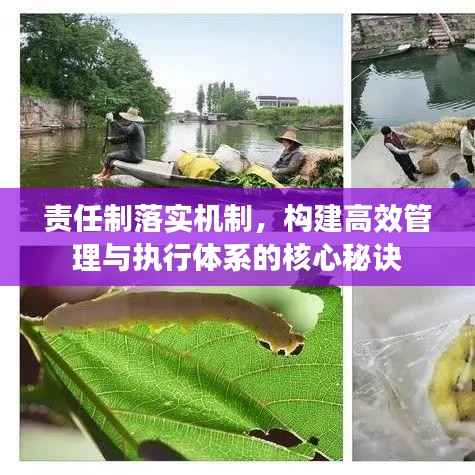 责任制落实机制，构建高效管理与执行体系的核心秘诀