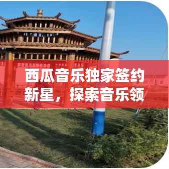 西瓜音乐独家签约新星,探索音乐领域的新生力量